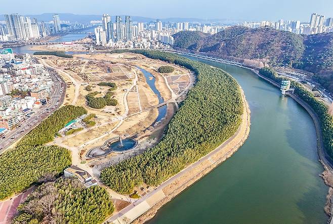 태화강 국가정원 대숲 [사진/정동헌 기자]
