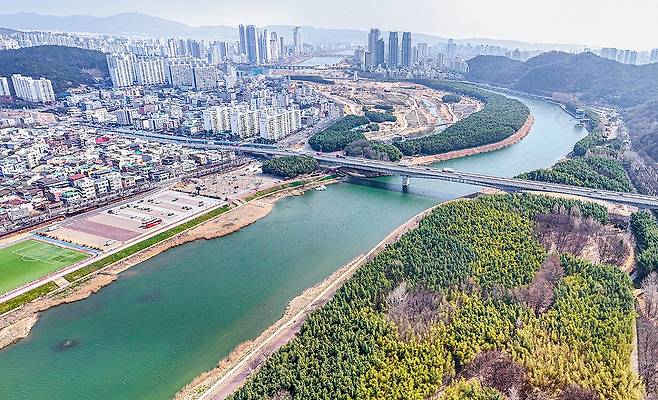태화강과 울산 시내 [사진/정동헌 기자]