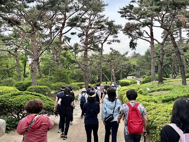 남산공원 일대를 걷는 시민들 [용산구 제공. 재판매 및 DB 금지]