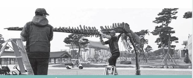 2019년 11월 경북도청 본관 앞마당 공룡 화석 골격을 재현한 조형물을 설치하는 모습. 경북도 제공