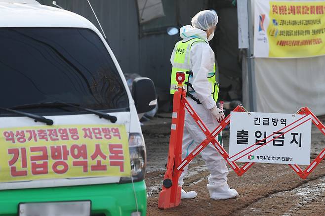 H5N1형 고병원성 조류인플루엔자 확진 판정을 받은 경기도 안성시 한 산란계 농장 출입이 1월 17일 통제되고 있다.(연합뉴스)