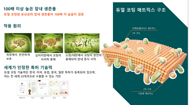 듀얼코팅 기술 설명. (자료=쎌바이오텍)