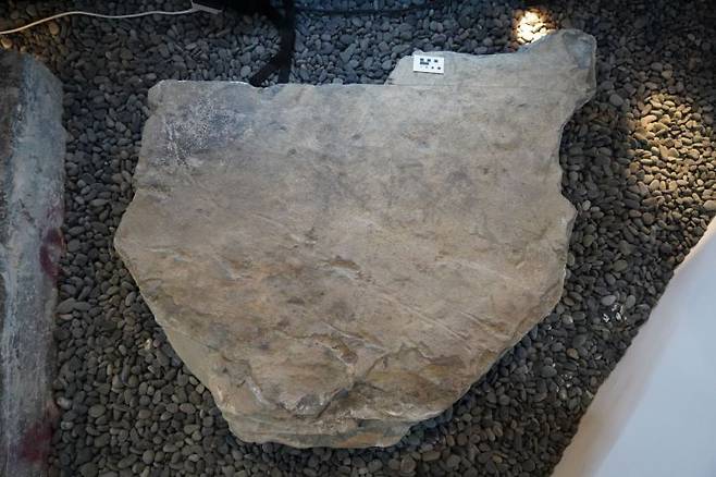 익룡 발자국 화석