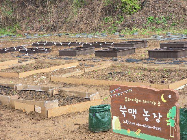 노랑그네 ‘쑥맥 농장’. 농산물에 담긴 다양한 이야기를 만나는 교육장이다. ⓒ노랑그네