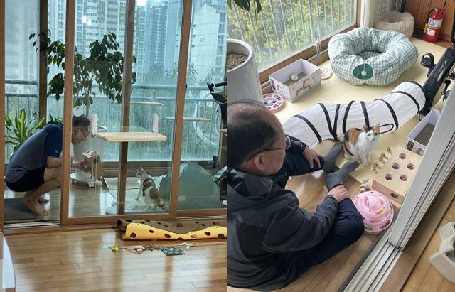 쩨리가 온 뒤 베란다는 전용 놀이터가 됐습니다. 보호자 제공