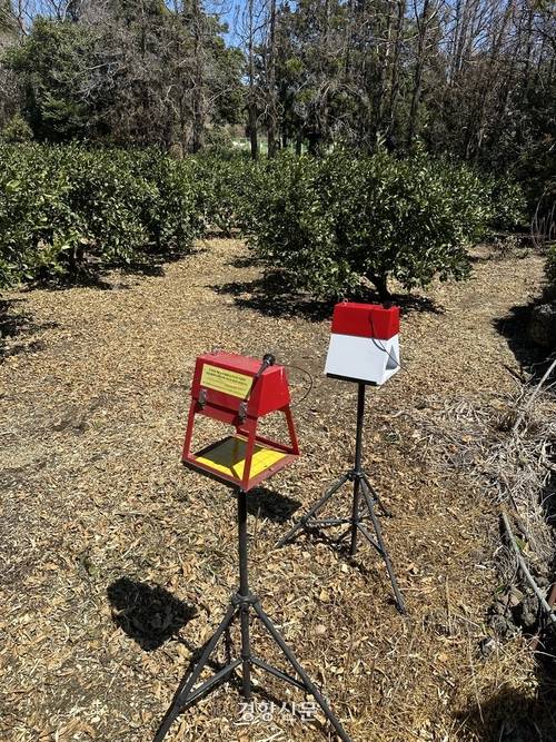 제주 디지털 트랩 설치 전경. 제주도 제공