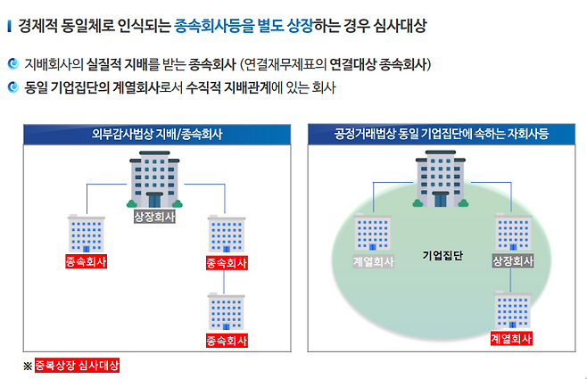중복상장 심사대상 구조도. 금융위 제공
