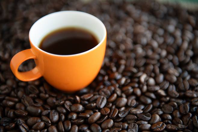 [게티이미지뱅크]