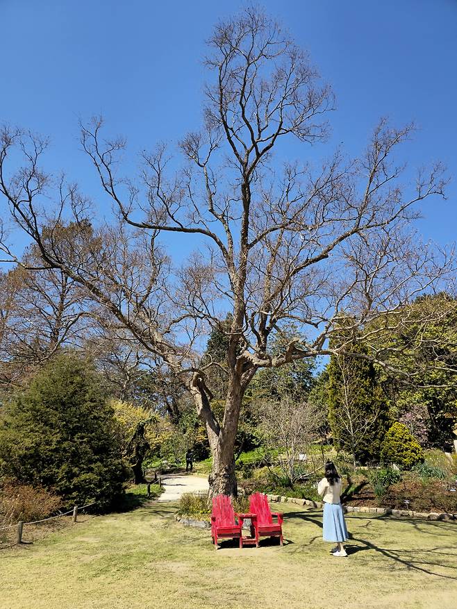 오구나무 포토존.
