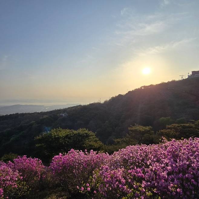 고려산 정상 풍경