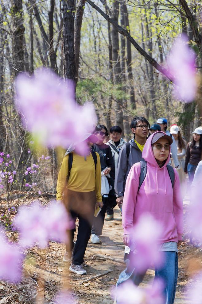 사진제공 ｜서울관광재단