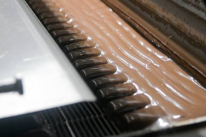 기사와 상관없는 자료사진입니다. 실제 초콜릿 바 생산 공장 사진입니다.  [타스 연합뉴스 자료사진. 재판매 및 DB 금지]