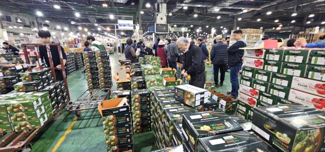 지난 10일 새벽 부산 반여농산물도매시장에서 중도매인들이 경매 대기 중인 짭짤이 토마토를 살펴보고 있다. 김한수 기자 hangang@