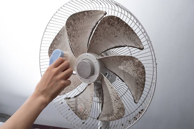 베이킹소다와 선풍기의 바람을 활용하면 분해하지 않고도 선풍기를 수월하게 청소할 수 있다. 사진=게티이미지뱅크