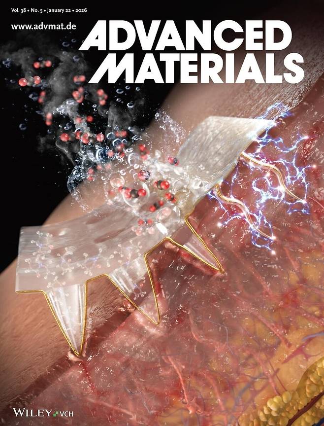 학술지 '어드밴스트 머티리얼스' 표지./포항공대 제공