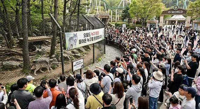 위 이미지는 인공지능으로 제작된 이미지. 온라인 커뮤니티&nbsp;