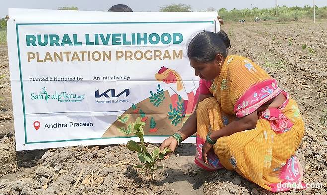 기아가 인도에서 실시한 ‘우파르 캠페인’에 참가한 현지 여성이 황무지에 묘목을 식재하고 있다. 현대차그룹 제공