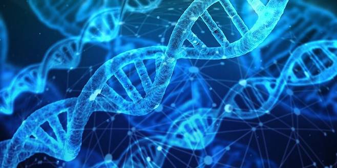 수십 년간 정설로 굳어온 DNA 합성 원리를 뒤흔드는 효소가 세균에서 발견됐다. geralt(wikimedia) 제공.