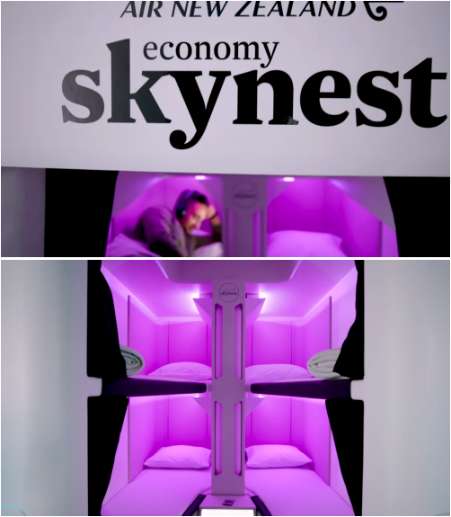 에어뉴질랜드가 항공사 최초로 선보인 침대형 수면 캡슐 좌석 서비스 '스카이네스트(Skynest)'. /사진=유튜브 에어뉴질랜드 캡처