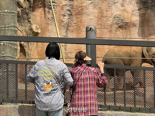 시민들이 17일 오후 서울 광진구 서울어린이대공원 동물원을 찾아 코끼리를 보고 있다. 안효빈 기자