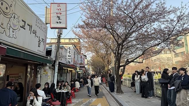 Crowds line the sidewalk along a road above Seongbuk Stream in central Seoul on April 11. [WOO JI-WON]