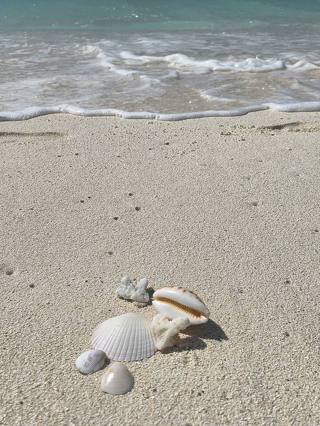 산호가 부서져 생긴 모래사장은 맨발로 걸어도 충분히 부드럽다. 휴가 온 아이들이 모아놓은 산호와 조개 껍데기들. /김경화 기자