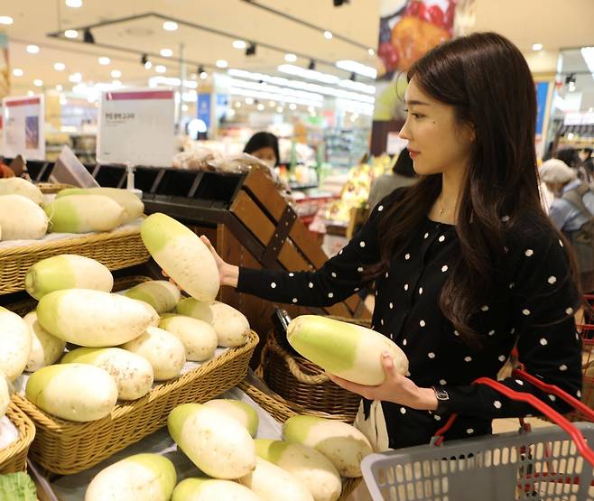 15일 서울 중구 롯데마트 제타플러스 서울역점을 방문한 고객이 못난이 상품으로 나온 제주 무를 살펴보고 있다. 롯데마트 제공