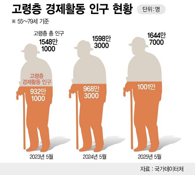 고령층 경제활동 상황 /그래픽=정기현 기자