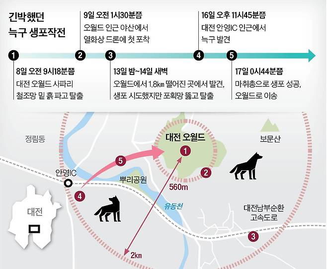 그래픽=남미가 기자