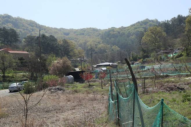 대전 오월드 늑대 '늑구'가 포획된 중구 신봉리 모습. 마을 주변의 텃밭마다 고라니 피해를 막기 위한 그물 울타리가 쳐져 있다. &nbsp;(사진=임병안 기자)