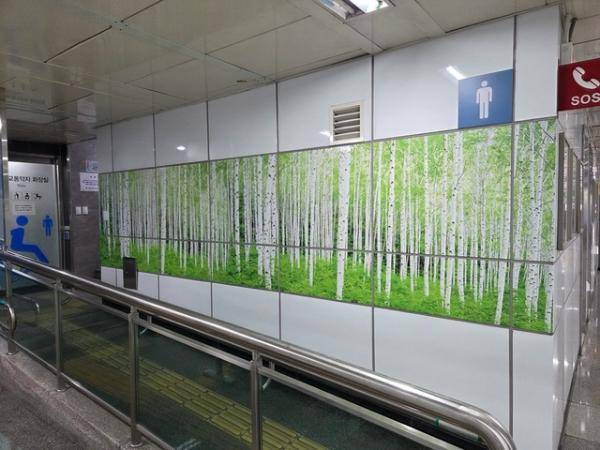 인제군이 서울 역삼역에 설치한 자작나무숲 이미지 작업