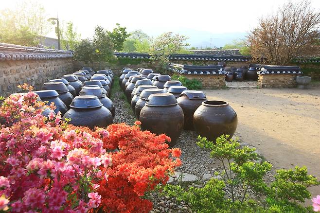 장독대가 정갈하게 놓여 있는 낙안읍성의 뒤뜰_한국관광공사 제공
