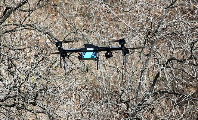 14일 대전 중구 무수동 오도산 일대에서 육군 제32보병사단이 드론을 띄워 탈출한 늑대 ‘늑구’ 수색 작업을 벌이고 있다. /신현종 기자