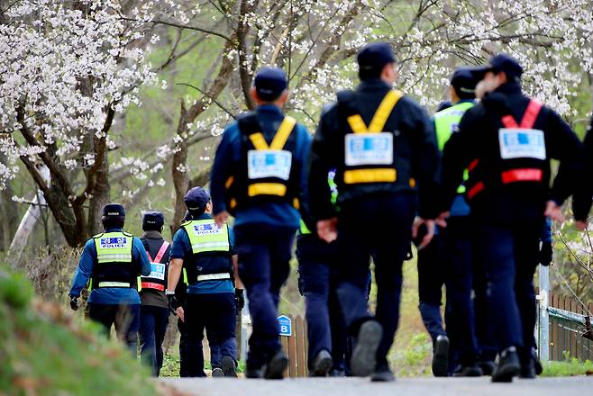 14일 대전 중구 무수동 오도산 일대에서 포위망을 뚫고 달아나 늑대 ‘늑구’를 경찰이 포획을 하기 위해 이동하고 있다. /신현종 기자
