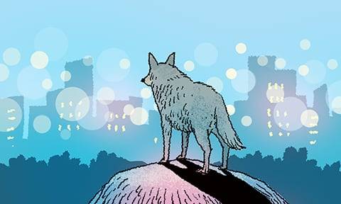 일러스트=이철원