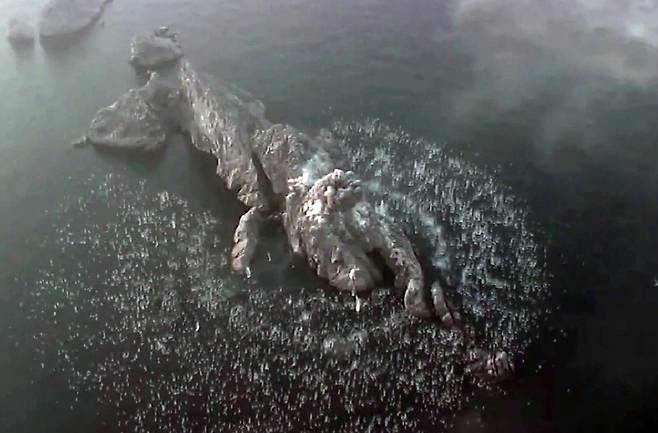 북한 노동당 기관지 노동신문은 20일 “조선민주주의인민공화국 미사일총국은 4월 19일 개량된 지상대지상전술탄도미사일 〈화성포-11라〉형의 전투부위력평가를 위한 시험발사를 진행하였다”고 보도했다. 평양 노동신문=뉴스1