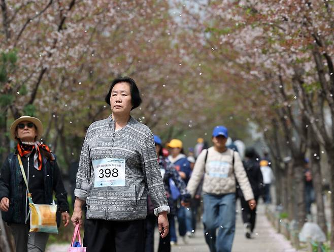 ‘2026년 세계다운증후군의 날 기념 장애인, 비장애인 함께 하는 걷기 행사’가 열린 지난 11일 서울 노원구 경춘선숲길에서 혼자 걷는 허정미씨 뒤로 벚꽃잎이 떨어지고 있다. 김영원 기자 forever@hani.co.kr