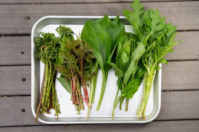 Spring greens [JOONGANGILBO]