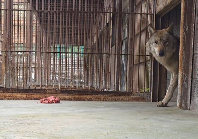 사진=오월드 SNS 갈무리