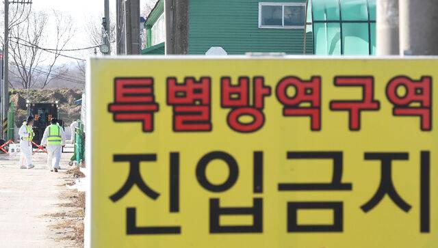 고병원성 조류인플루엔자 중앙사고수습본부는 15일부로 고병원성 AI 특별방역대책기간이 종료됐다고 16일 밝혔다. 연합뉴스