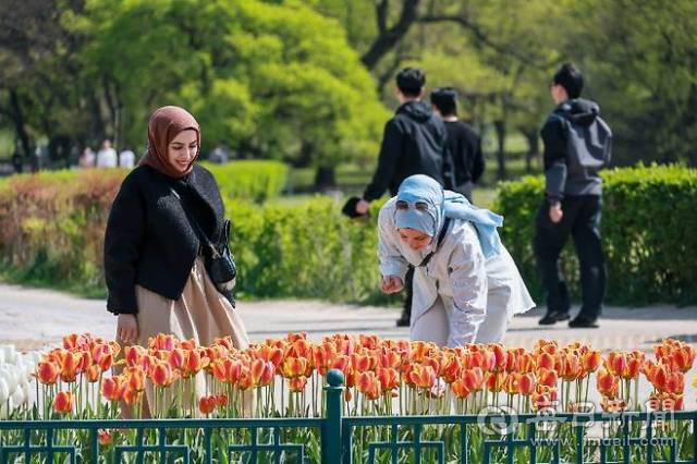 경주 동부사적지에서 외국인 관광객들이 꽃을 감상하며 봄 정취를 만끽하고 있다. 경주시 제공