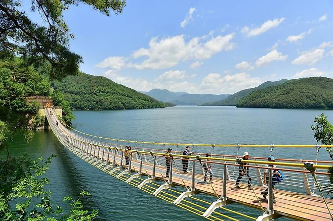 전남 장성군 장성호 수변길을 찾은 관광객들이 황금빛출렁다리를 건너고 있다.