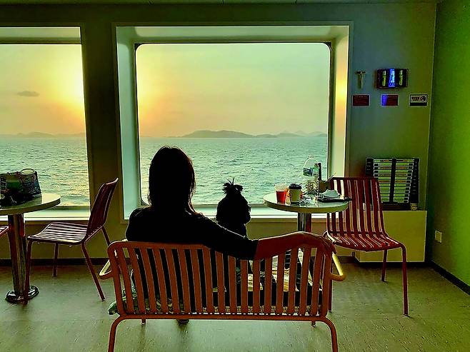 씨월드고속훼리가 운항하는 퀸메리호는 반려동물 동반 여행객을 위해 선사 최초로 펫 VIP 객실과 전용 좌석을 갖췄다.