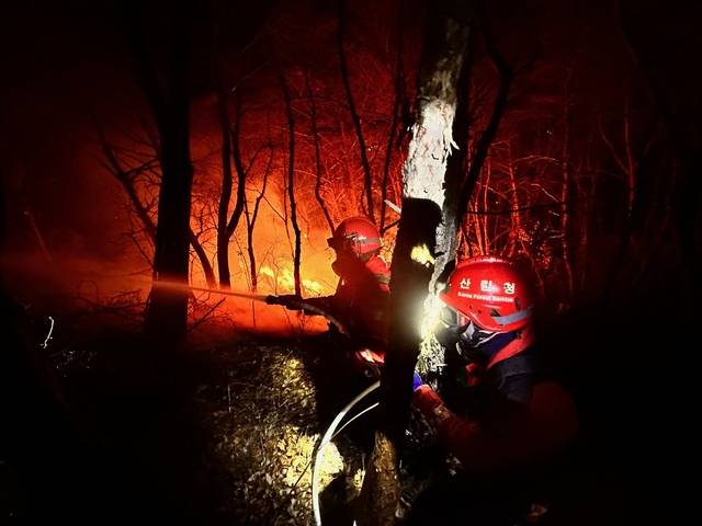 산림청은 19일 종료된 ‘대형산불 특별대책기간’ 동안 단 한건의 대형 산불이 발생하지 않았다고 밝혔다. 산림청 제공.