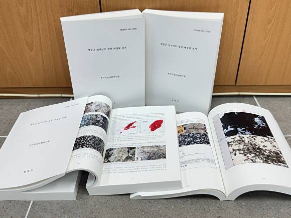 일라이트 광산 매장량 자료. [사진=영동군]