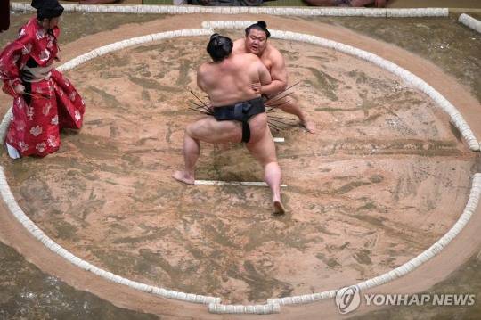 일본 스모 [연합뉴스 자료사진]