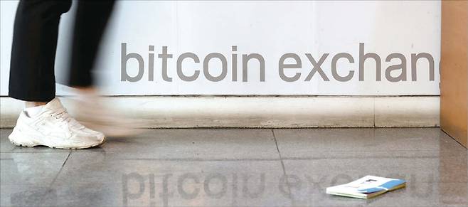 암호화폐 진영이 Q-Day 공포에 빠졌다. (매경DB)