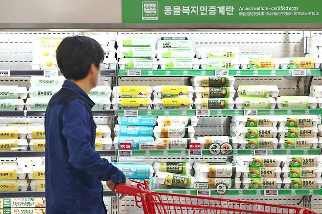 서울의 한 대형마트 계란 판매대 모습. [연합]