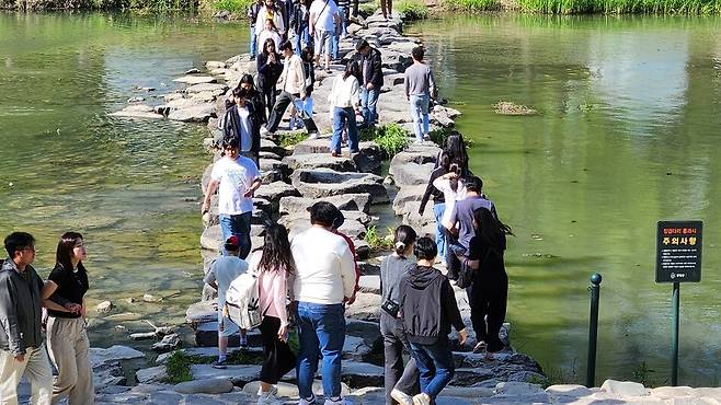 지난해 5월 4일, 대나무축제장을 찾은 관광객들이 담양 관방제 천변 징검다리를 건너고 있다. ⓒ시사저널 정성환