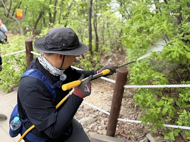 ▲ 김동건 삼육대학교 교수가 계양산 정상부에서 미생물 제제 BTI를 살포하고 있다. /김소연 수습기자 kimsoyeon330@incheonilbo.com